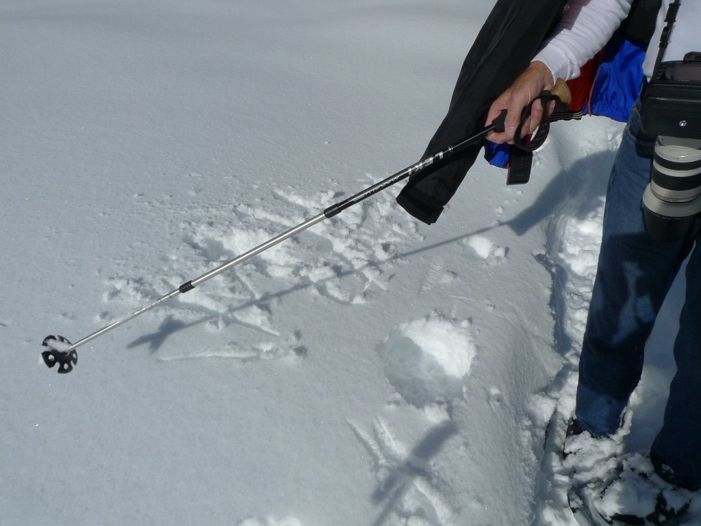 Christmas2010 056.JPG - Larry writes "I will go snow camping" and then destroys the evidence